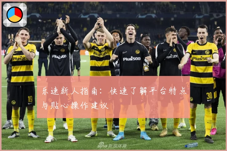 乐速新人指南：快速了解平台特点与贴心操作建议